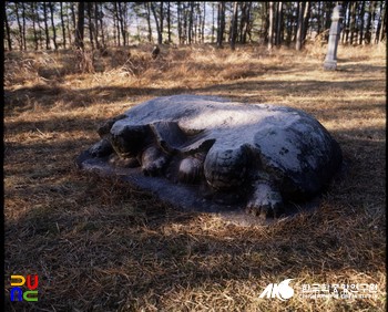 남산 창림사 - 경주 창림사지 귀부 정측면
