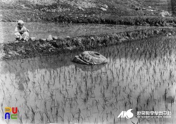 남산 창림사 - 경주 남산 일원 중 창림사지 하대석