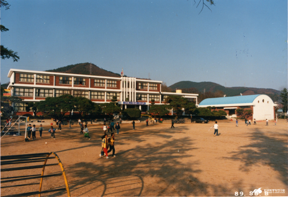 양지초등학교 - 양지국민학교