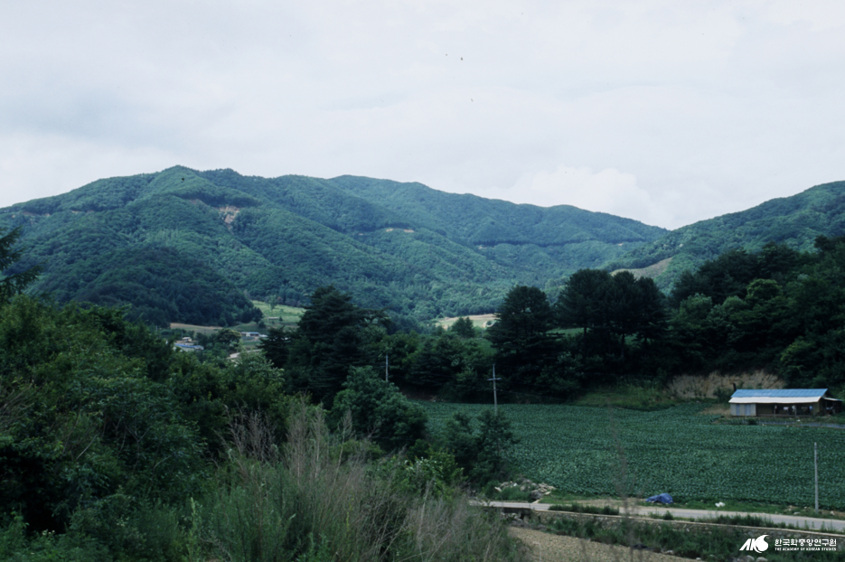 대미산
