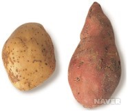 감자와 고구마