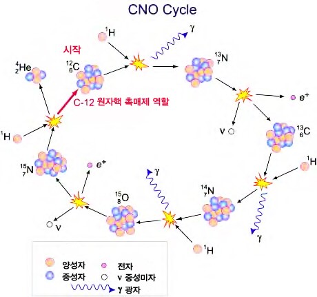 에너지원 - CNO 순환