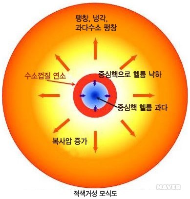 태양질량의 3배~15배인 별 - 적색거성 모식도