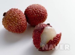 리치파라다이스 이미지