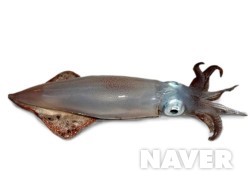 한치