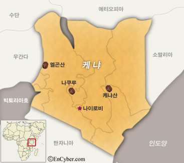 케냐빈 이미지