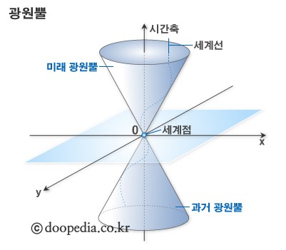 광원뿔 - 광원뿔 본문 이미지 1
