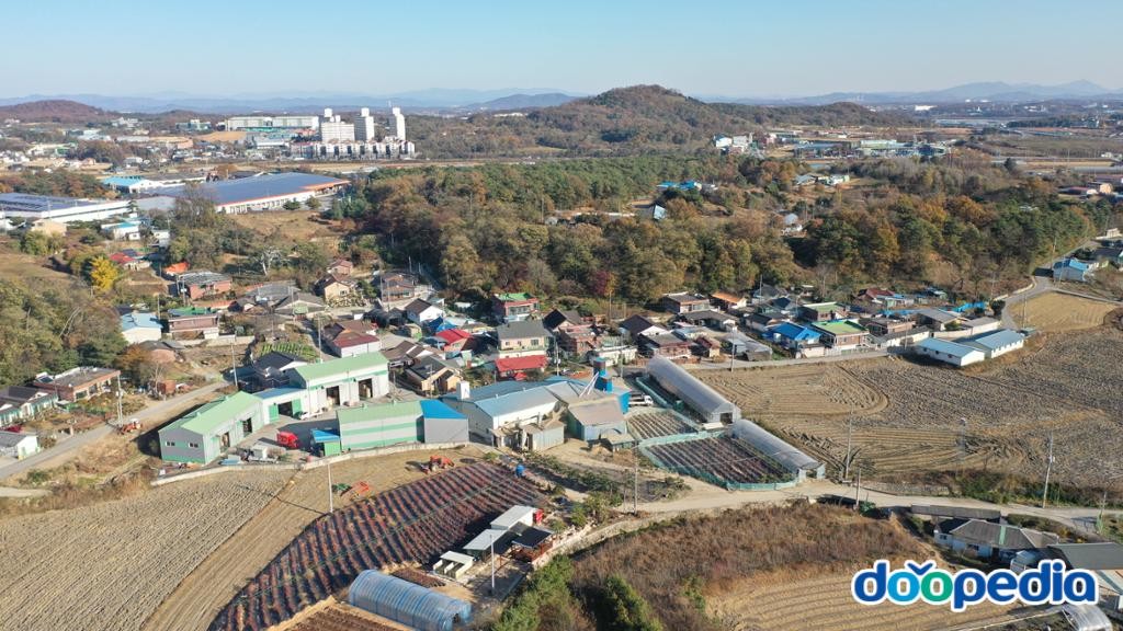 신대리
