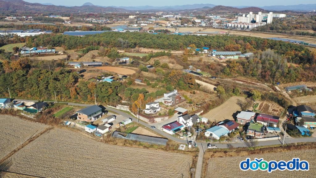 신대리