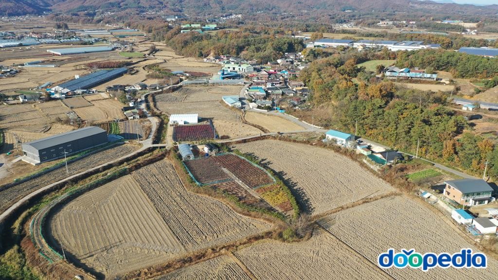 신대리