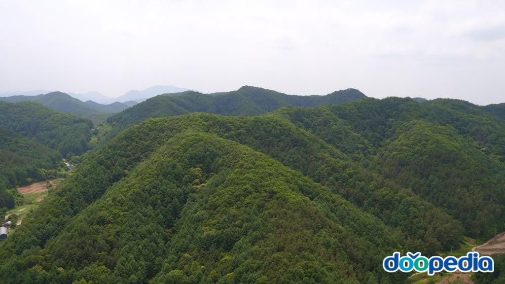 상소동 - 지봉산