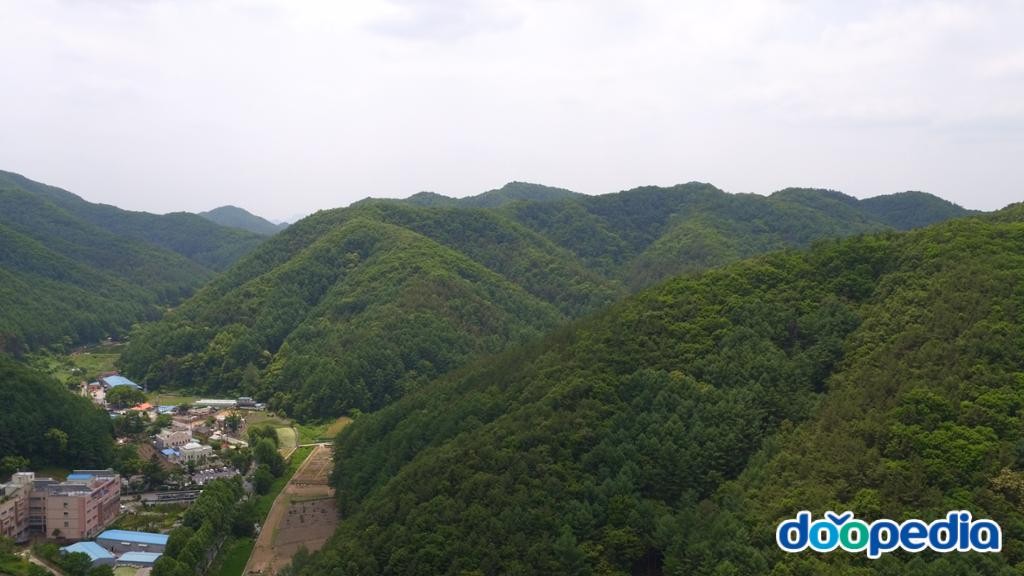 상소동 - 지봉산
