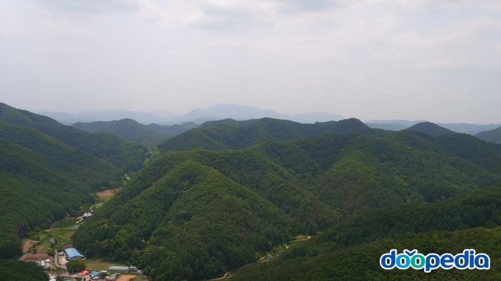 상소동 - 지봉산