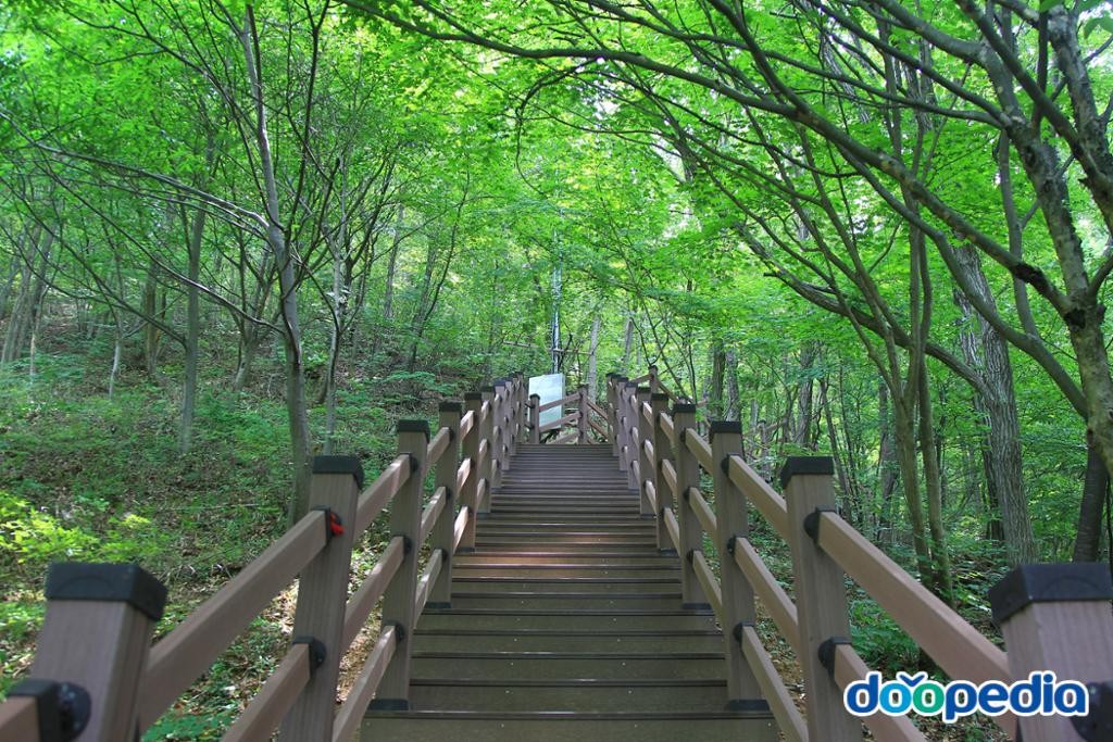 하소동 - 만인산 자연휴양림