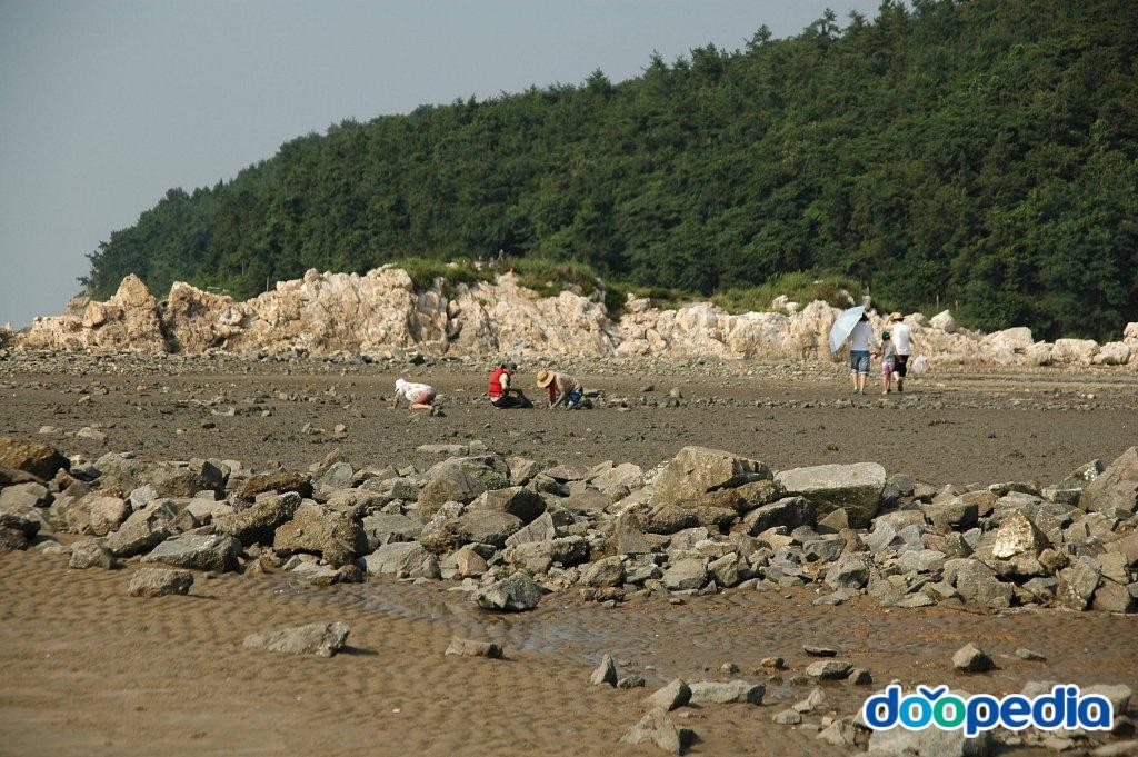 백바위해수욕장 - 백바위해수욕장 주변