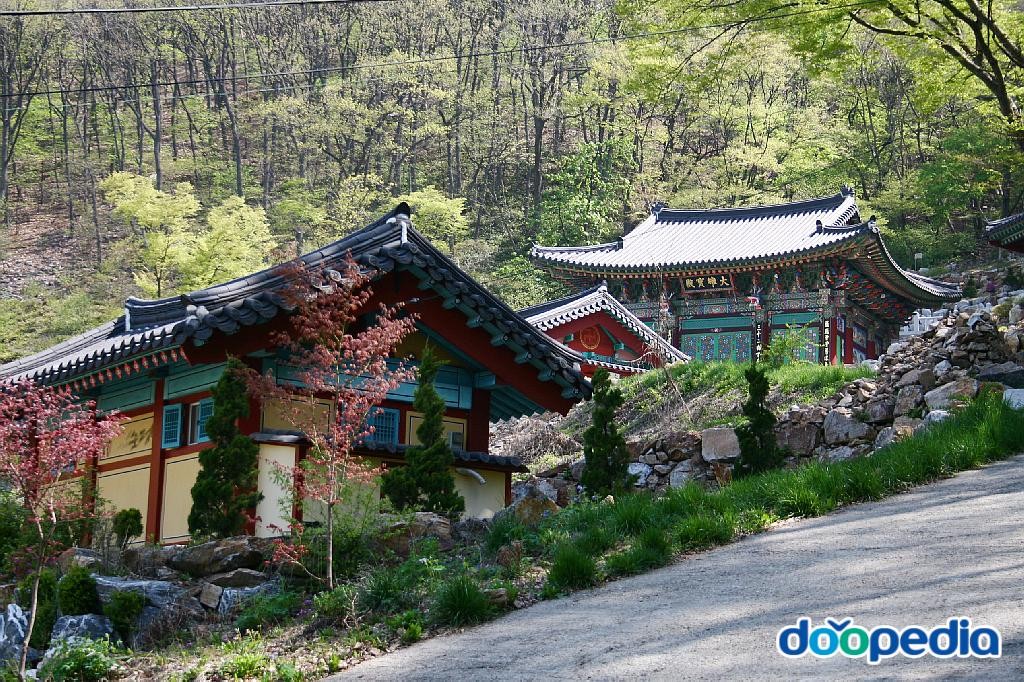 용덕사