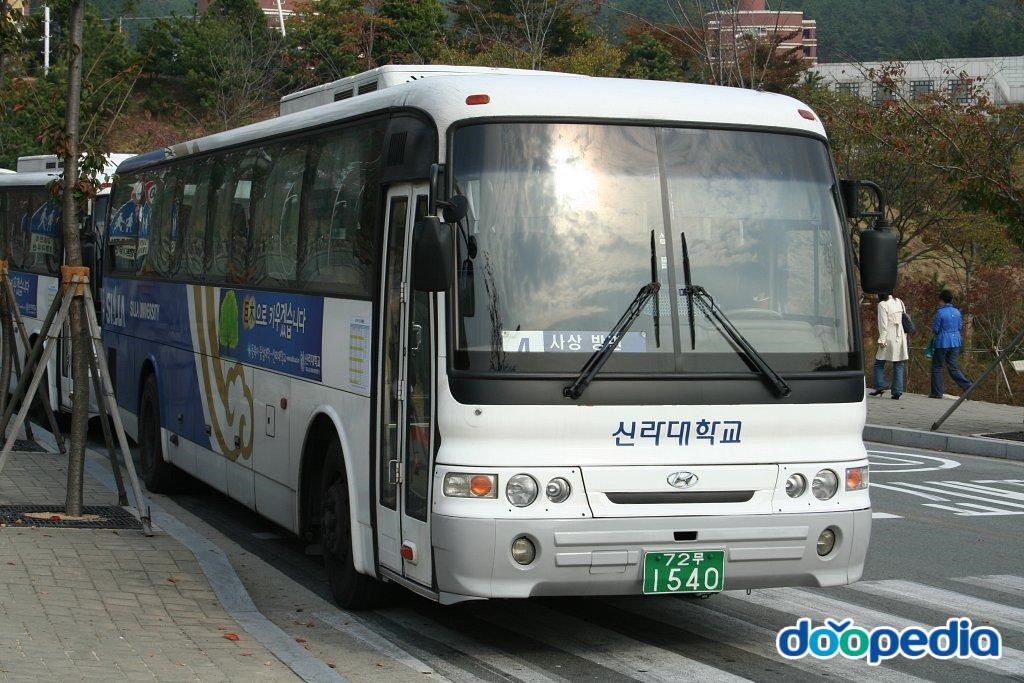신라대학교 - 신라대학교 버스