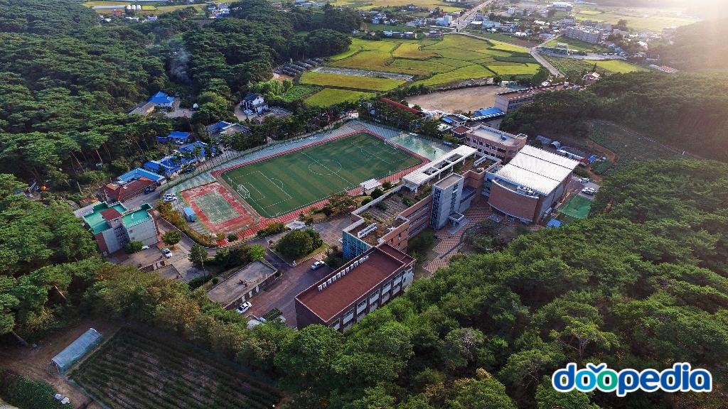 안면고등학교