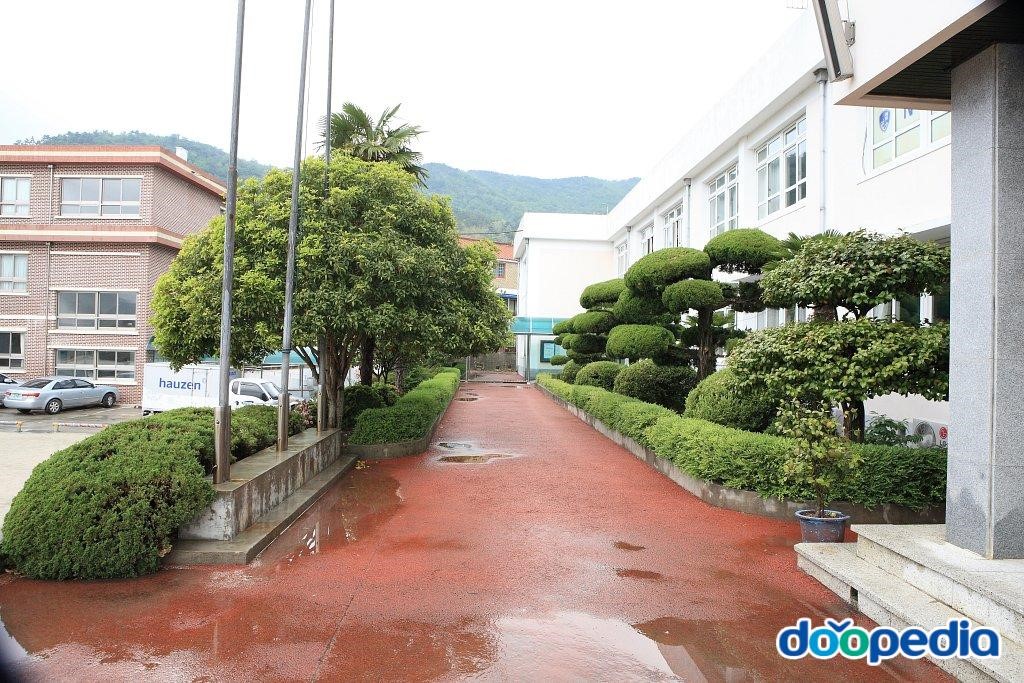 남해여자중학교 - 남해여자중학교 화단