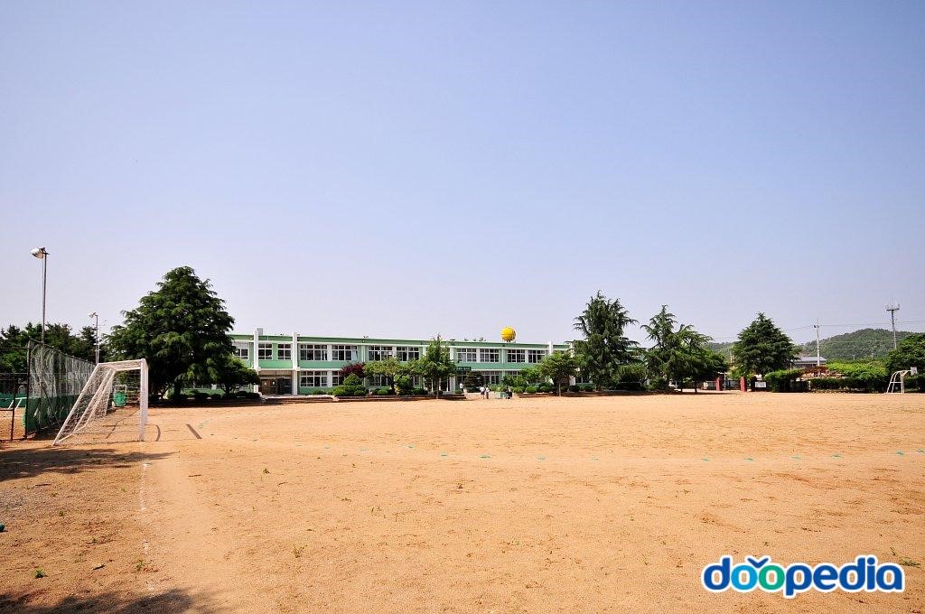 청통중학교 - 청통중학교 전경