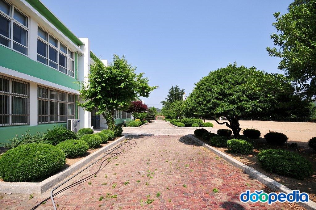 청통중학교 - 청통중학교 전경