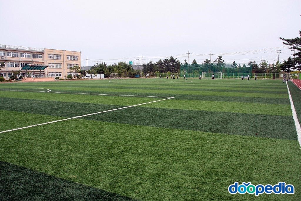 동광산업과학고등학교 - 동광산업과학고등학교 운동장