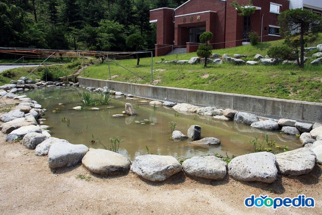 설악고등학교 - 설악고등학교 연못