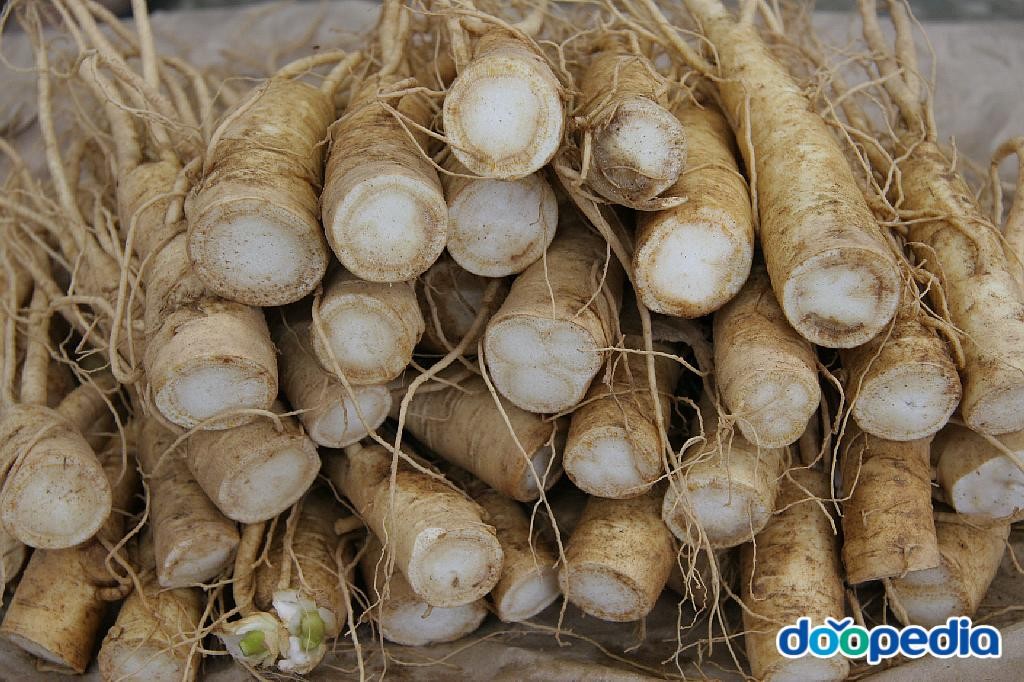 금산군의 산업 - 금산 수삼센터