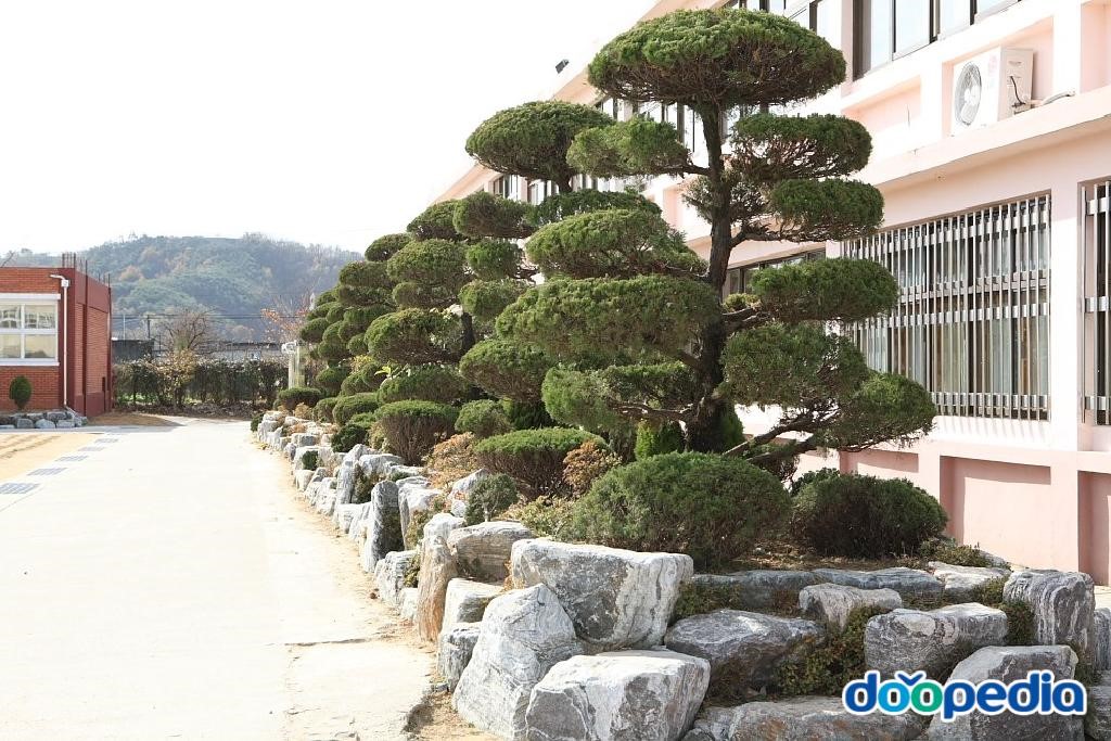 대산중학교