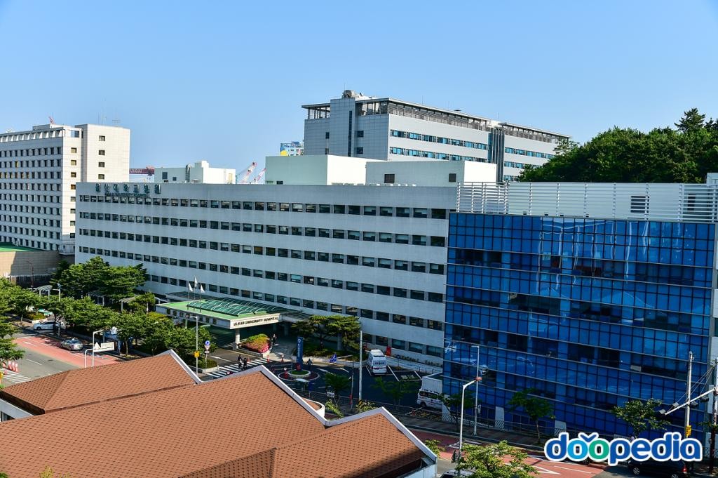 울산광역시의 사회문화 - 울산대학교병원