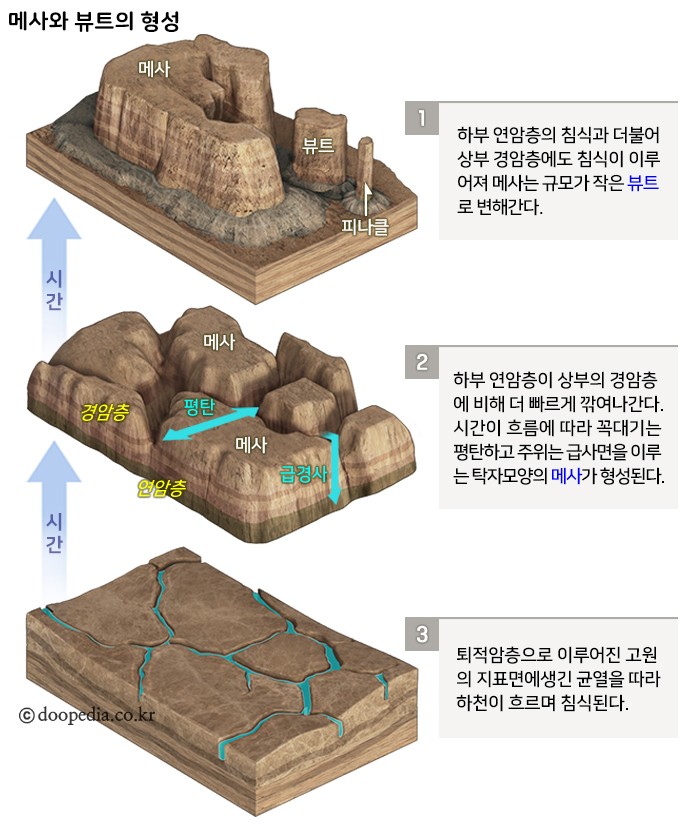 포인트카 이미지