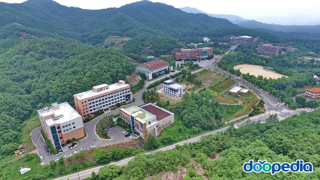 유원대학교