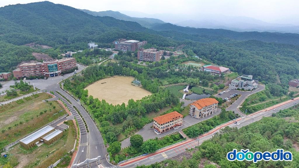 유원대학교