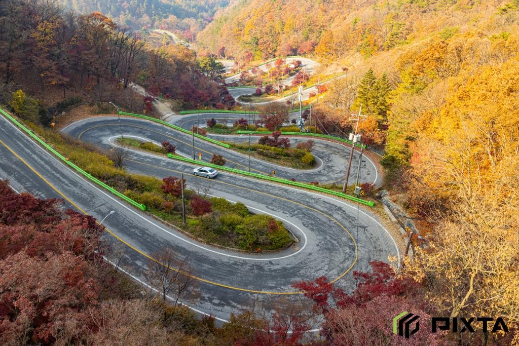 속리산 말티재자연휴양림 - 말티재