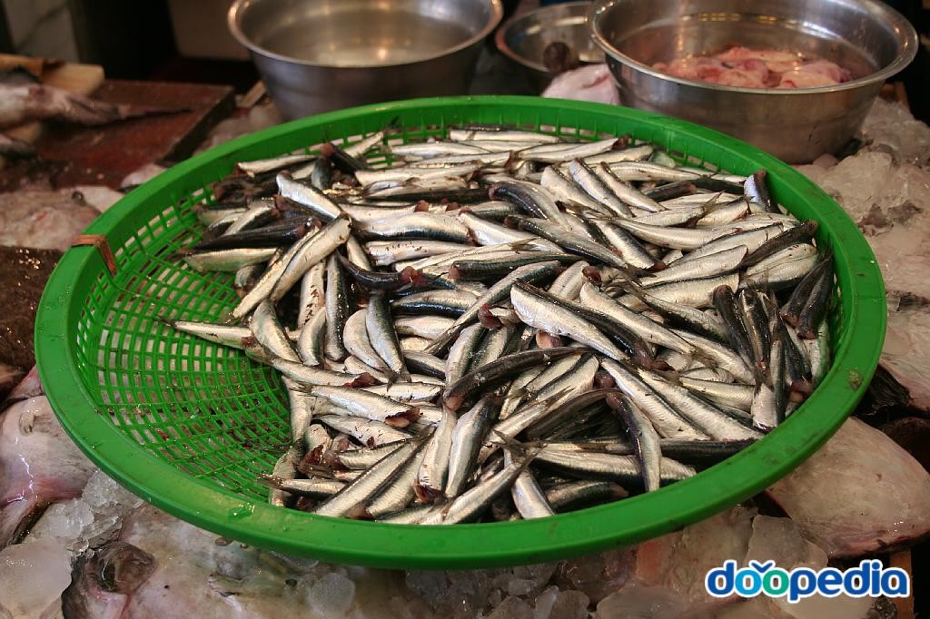 건입동 - 제주시 건입동 동문재래시장
