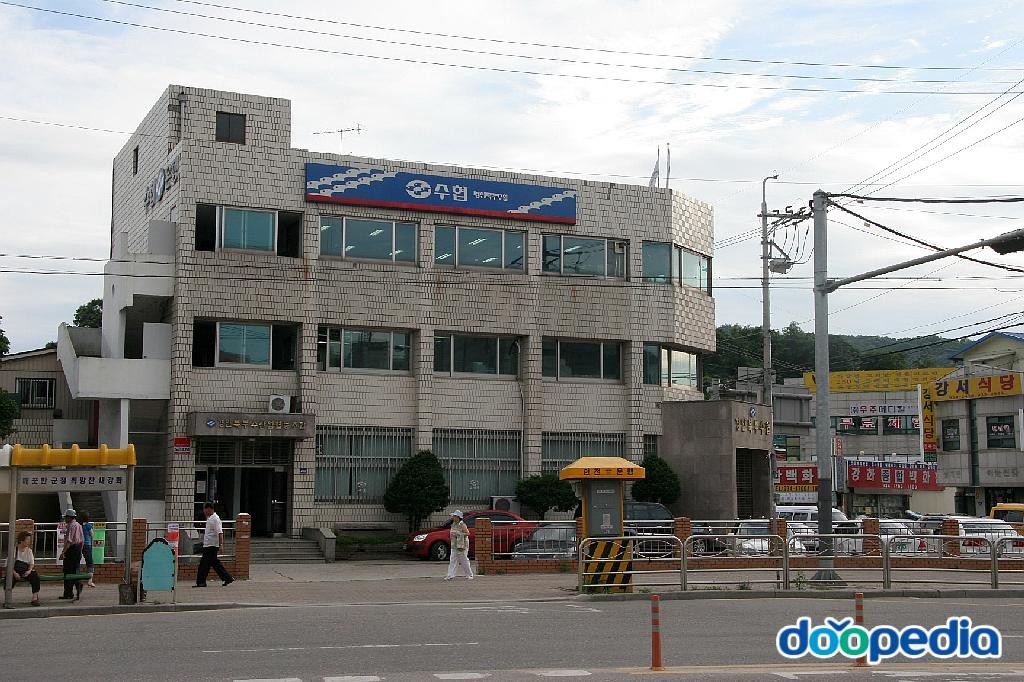 강화군의 사회문화 - 경인북부수산업협동조합 강화지점