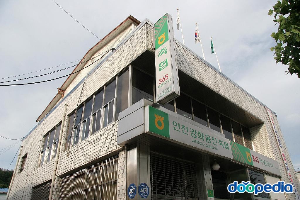 강화군의 사회문화 - 인천강화옹진축협