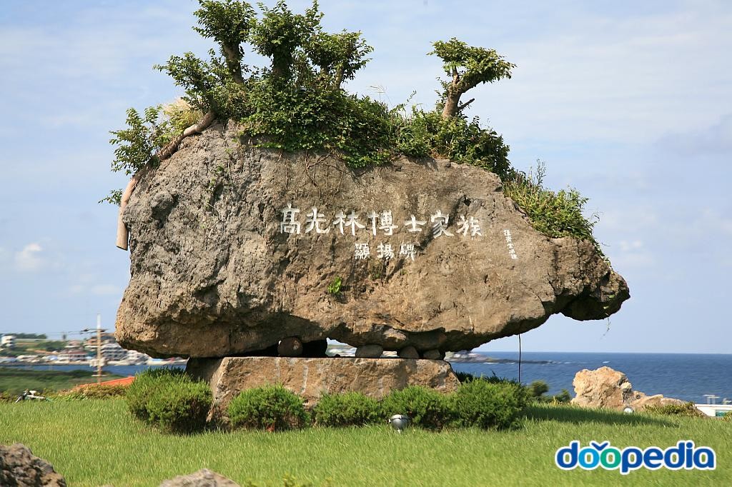 외도동