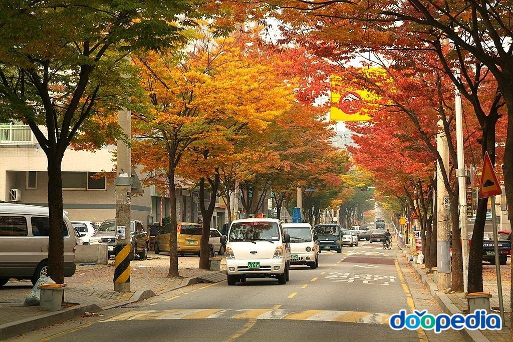 사동 - 초당초등학교 길