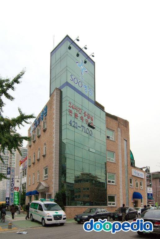 삼전동 - 강남수병원