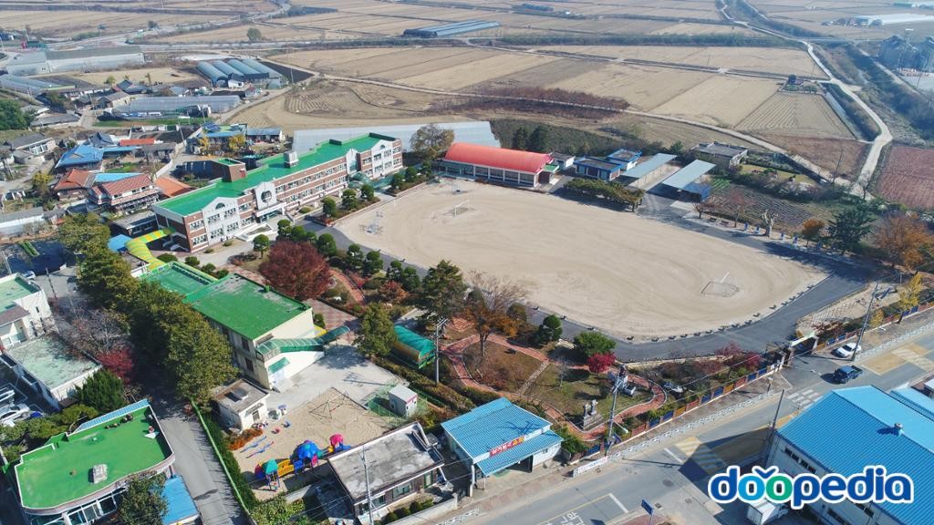 삼기초등학교