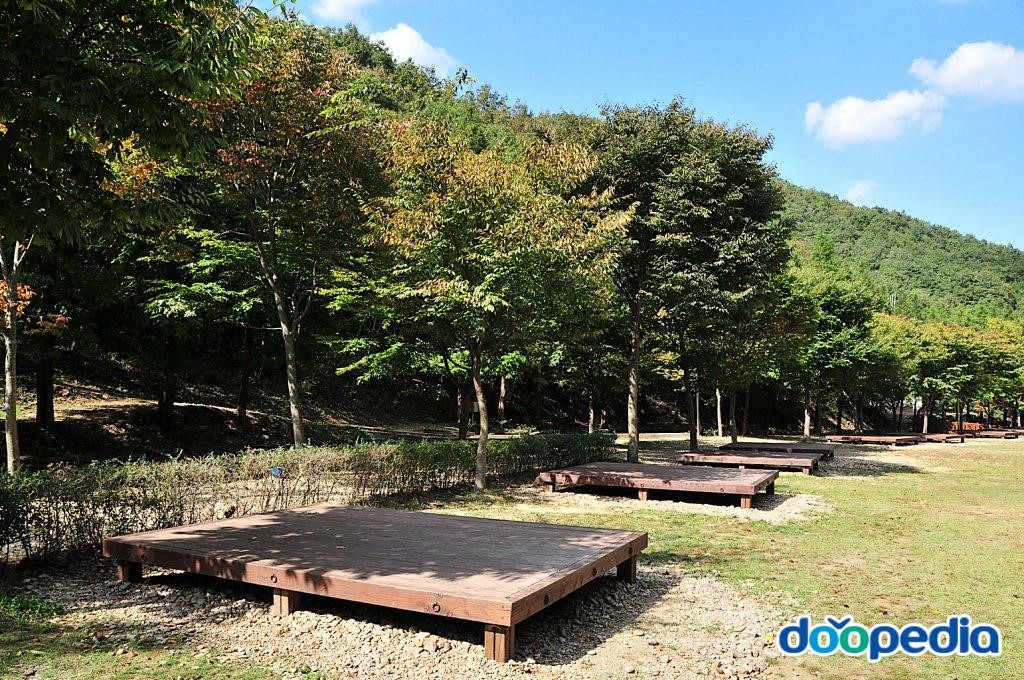 칠갑산자연휴양림