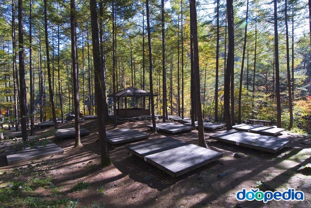 청옥산자연휴양림 - 청옥산자연휴양림 제1야영장