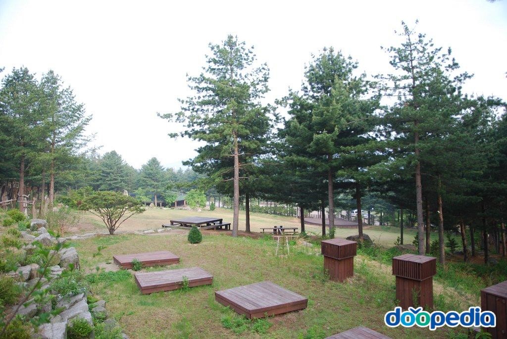 청태산자연휴양림 - 청태산 자연휴양림 풍경