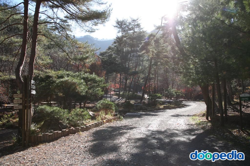 검마산자연휴양림