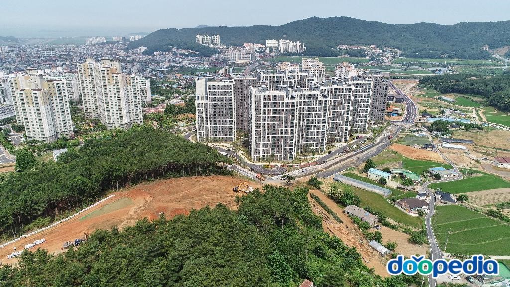 동대동