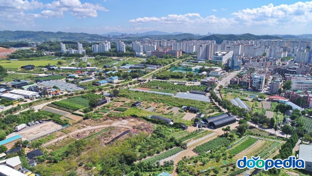 행신동