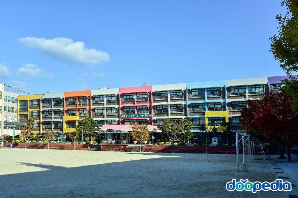 신안초등학교