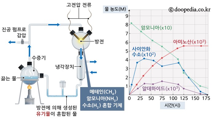밀러의 실험 - 밀러의 실험 본문 이미지 1