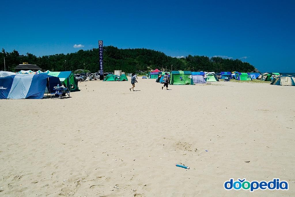 삼척해수욕장